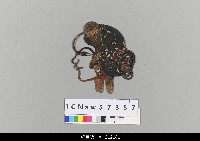 藏品(中國湖北皮影戲偶頭-旦)的圖片